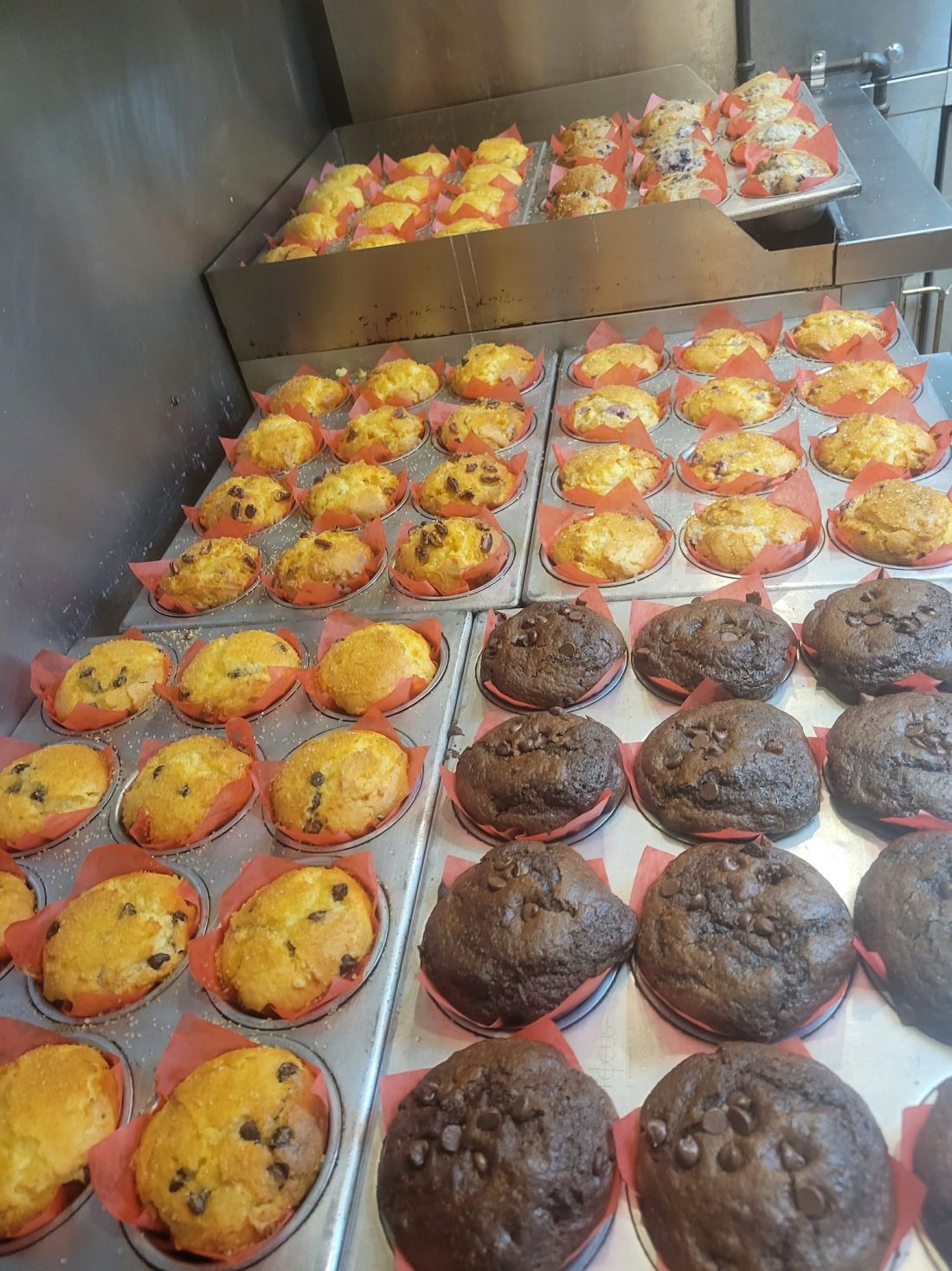 Gallery Muffins and Scones Outer Banks, NC