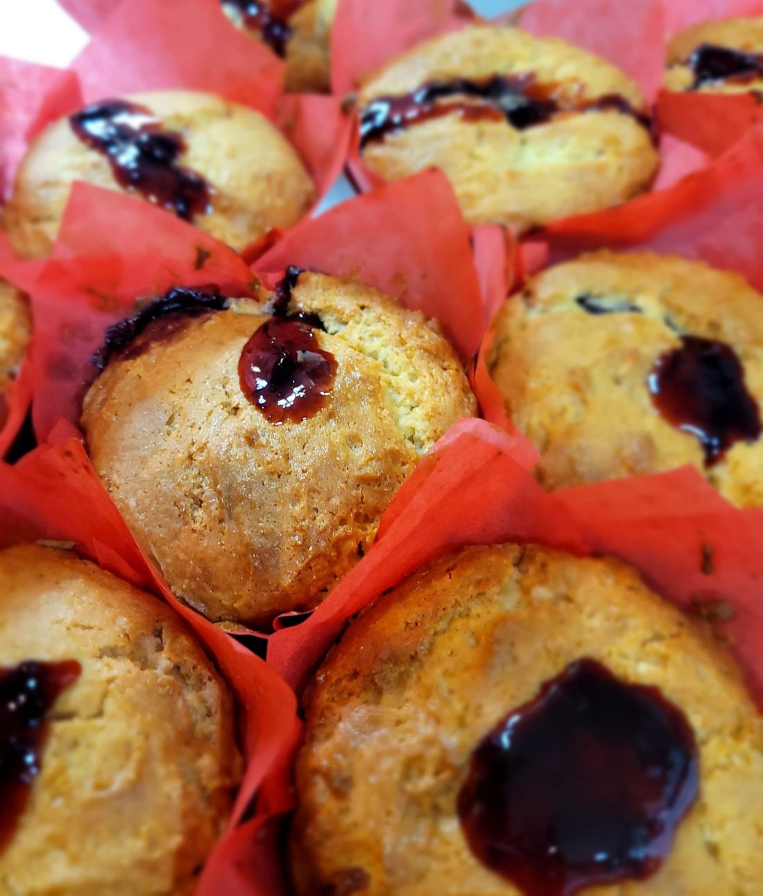 新品 正規品!!  and Muffins Scones Banks Outer | その他