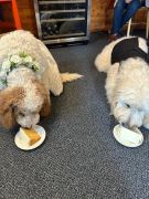 Muffins and Scones photo